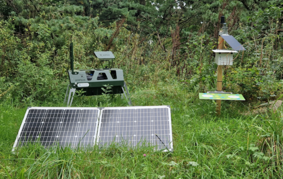 Insectenmonitoring in ARTIS, een test met DIOPSIS